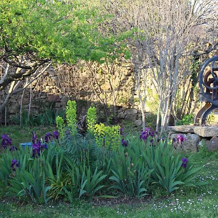 Mas Les Romarins: Tranquil Retreat With Spacious Garden