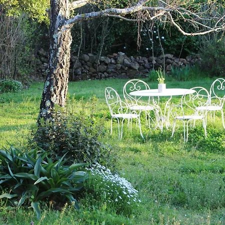 Villa Mas Les Romarins, 10 Min D'uzes, Piscine Et Grand Jardin Clos, Jeux, Nid De Repos Et Base Pour Activites Dans Le Gard (adults Only)