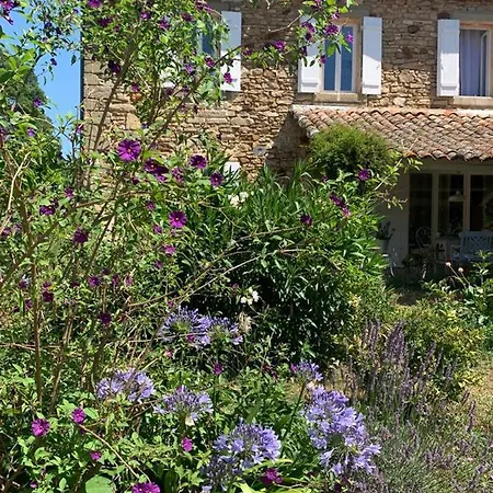 וילה Mas Les Romarins, 10 Min D'uzes, Piscine Et Grand Jardin Clos, Jeux, Nid De Repos Et Base Pour Activites Dans Le Gard (adults Only) *