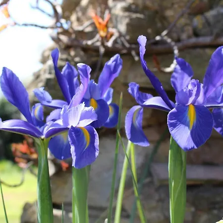 Mas Les Romarins, 10 Min D'uzes, Piscine Et Grand Jardin Clos, Jeux, Nid De Repos Et Base Pour Activites Dans Le Gard (adults Only) Uzès