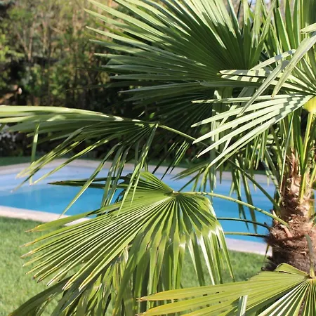 וילה Mas Les Romarins, 10 Min D'uzes, Piscine Et Grand Jardin Clos, Jeux, Nid De Repos Et Base Pour Activites Dans Le Gard (adults Only)