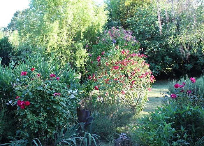 Mas Les Romarins, 10 Min D'uzes, Piscine Et Grand Jardin Clos, Jeux, Nid De Repos Et Base Pour Activites Dans Le Gard (adults Only)