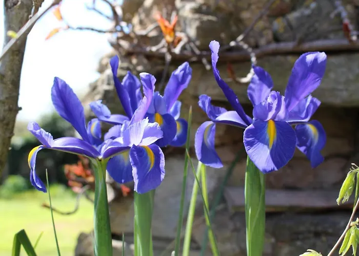 Mas Les Romarins, 10 Min D'uzes, Piscine Et Grand Jardin Clos, Jeux, Nid De Repos Et Base Pour Activites Dans Le Gard (adults Only) Uzès