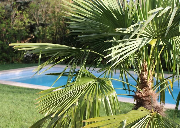 Villa Mas Les Romarins, 10 Min D'uzes, Piscine Et Grand Jardin Clos, Jeux, Nid De Repos Et Base Pour Activites Dans Le Gard (adults Only)